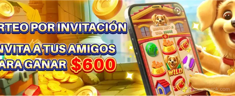 Ofertas especiales de bonos en Winner Casino